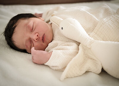 Thea Seibold 19.11.2025